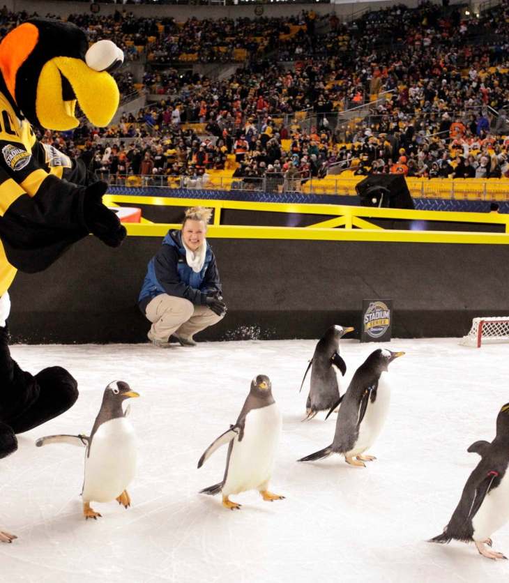 Pittsburgh Penguins 2021-2022 Season Preview – The Morning Skate
