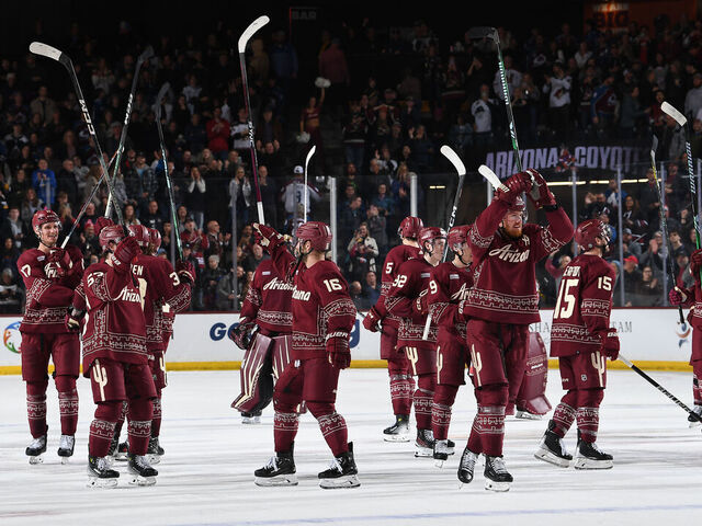 A Farewell to the Arizona Coyotes………For Now